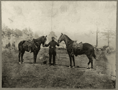 Col. Sharpe's horses, Falmouth, Va., April, 1863