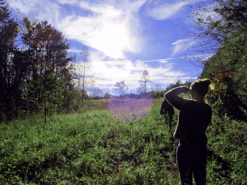 Hiking in the mountains