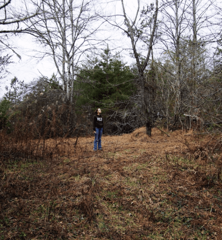 My life in Appalachia - The Lay Of The Land