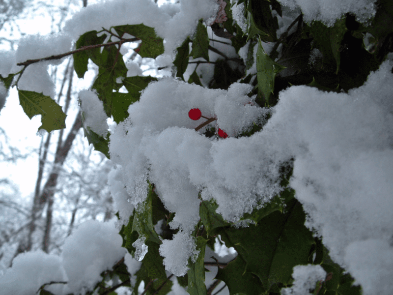 Christmas in Appalachia