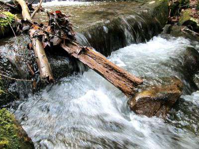 My life in appalachia the creek is full