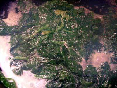 Creamed Spinach