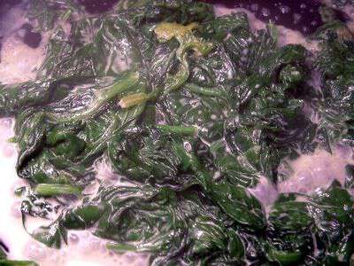 Cooked creamed spinach