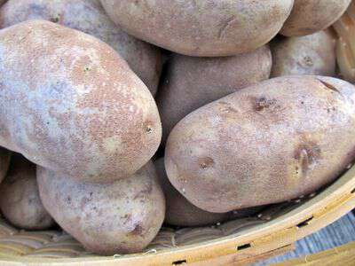 Irish Potatoes