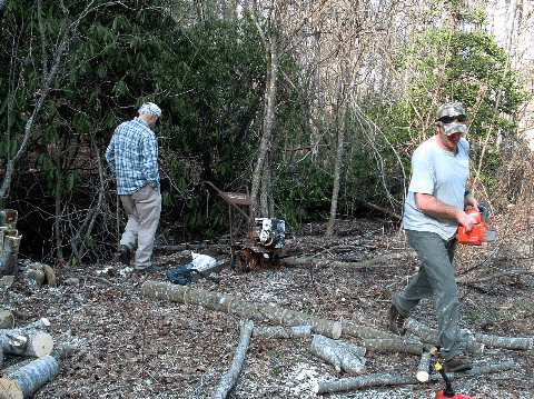 Trimming trees to let more sunlight into the garden