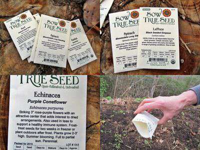 Sow True Seed spring veggies