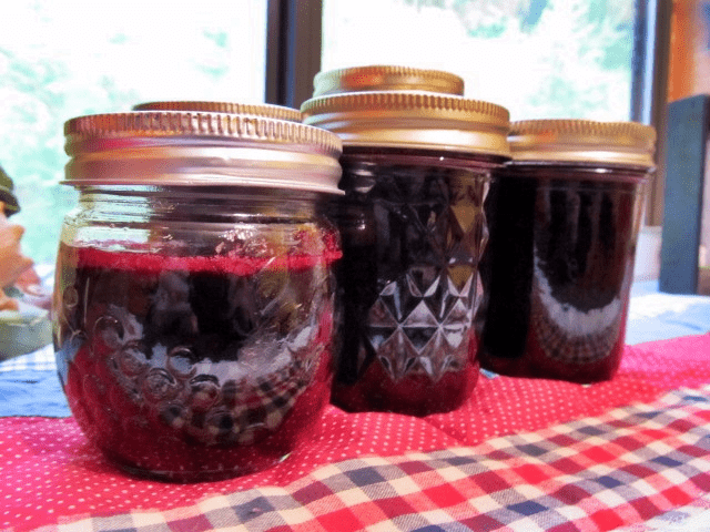 How To Make Mulberry Jelly