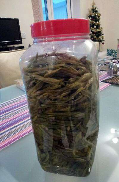 Preserving green beans with salt