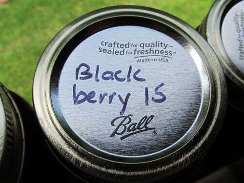 Blackberry jelly recipe