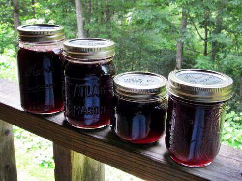 Blackberry jelly from appalachia