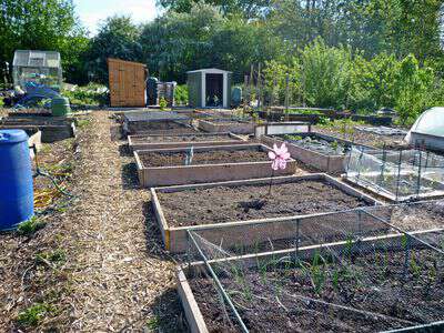 Spring - time to get planting garden allotment in uk