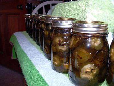 14 day pickles completed