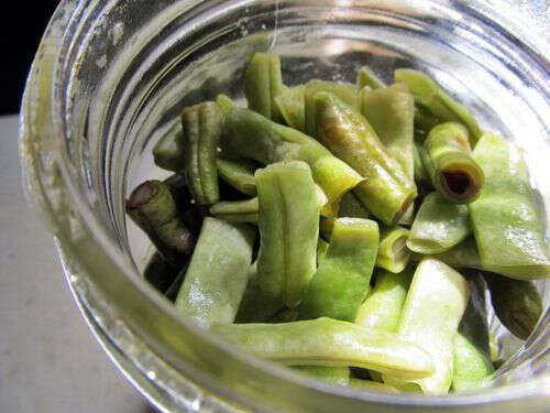 Preserving greenbeans with salt take 2