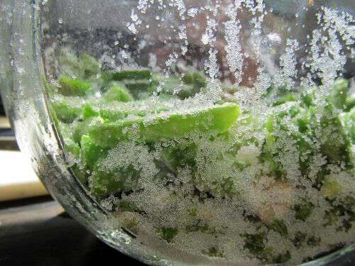 Using salt to preserve greenbeans