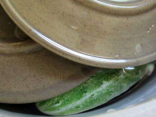 Keep pickles in crock submerged