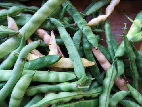 How to cook fresh green beans