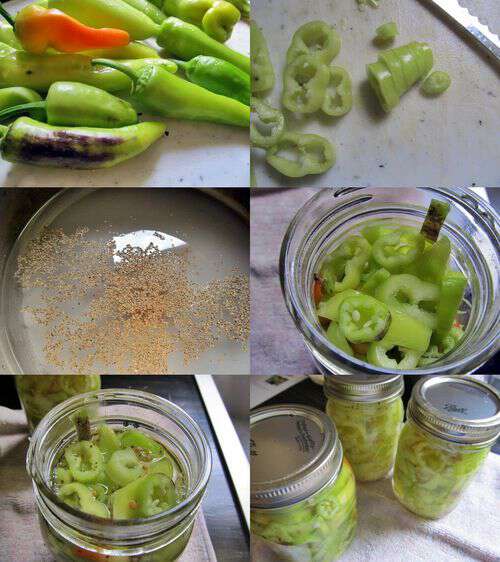 Old timey pickled pepper recipe