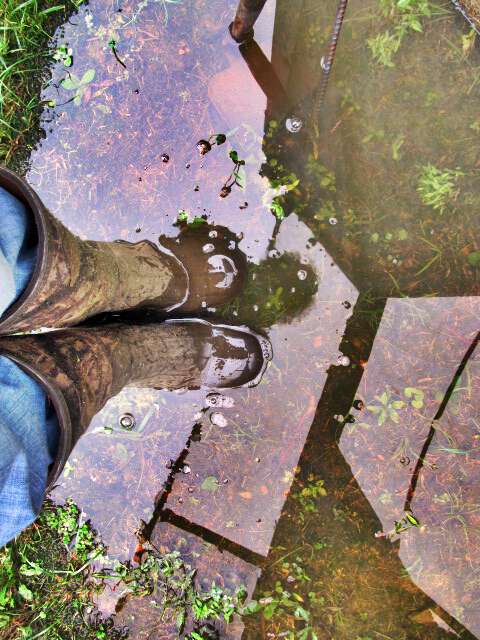 Western nc weather not fit for man nor beast