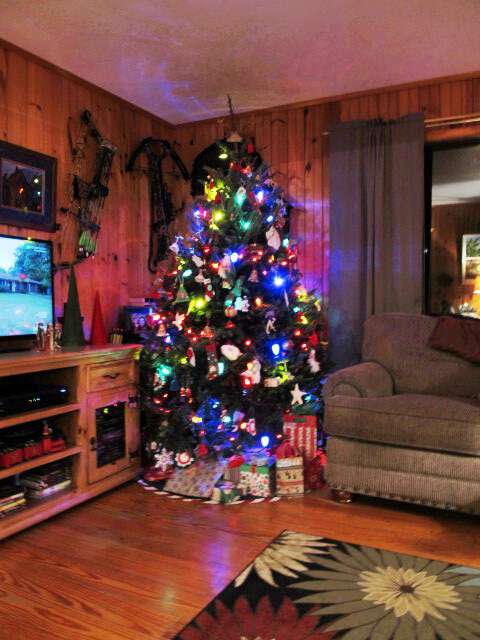 My life in appalachia christmas trees