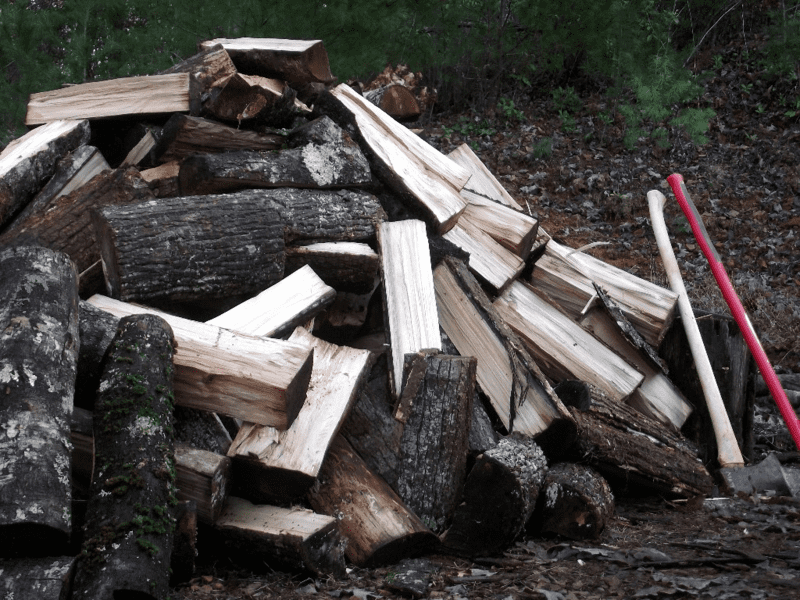 Best wood to burn for firewood