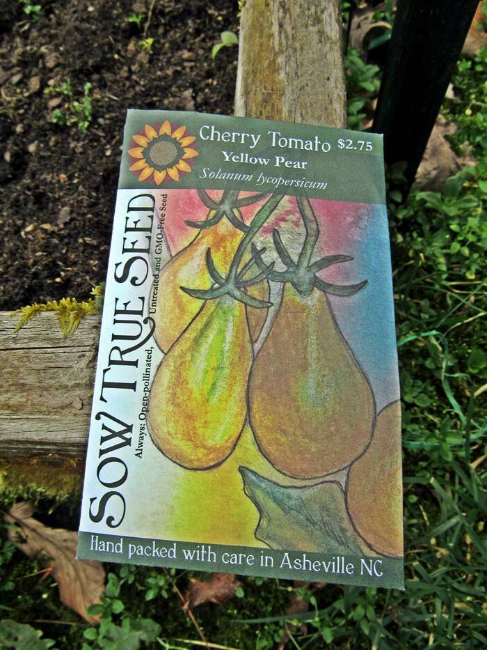 Sow true seed yellow pear