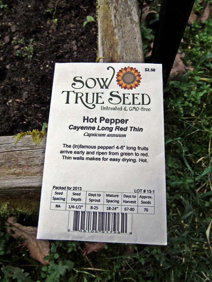 Sow true seed cayenne pepper
