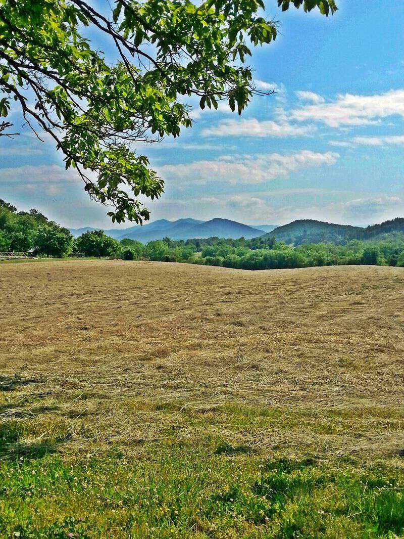 My life in appalachia its hay cutting time