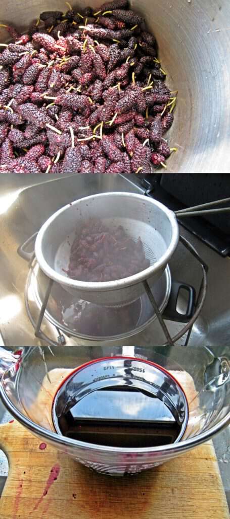 Using mulberries for juice