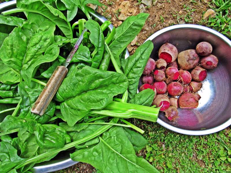 Appalachian vocabulary test see how you do