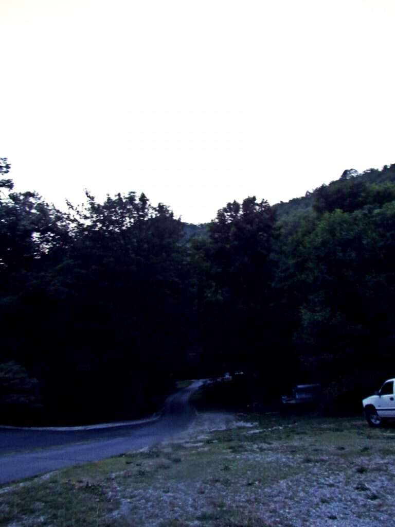 Dusky Dark in Appalachia