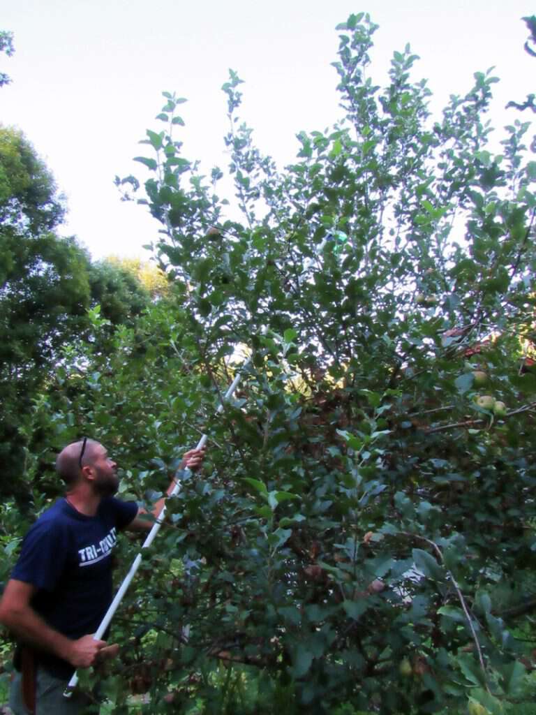 Homemade apple picker