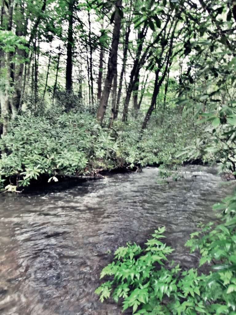 ghost at the river
