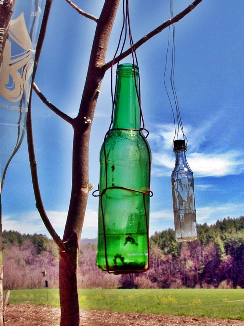 bottle trees in appalachia keep away evil spirits