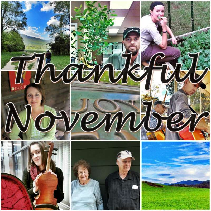 Thankful November 2016 Blind Pig and the Acorn hosts a month of giveaways