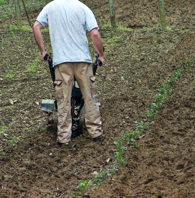 march in Appalachia is