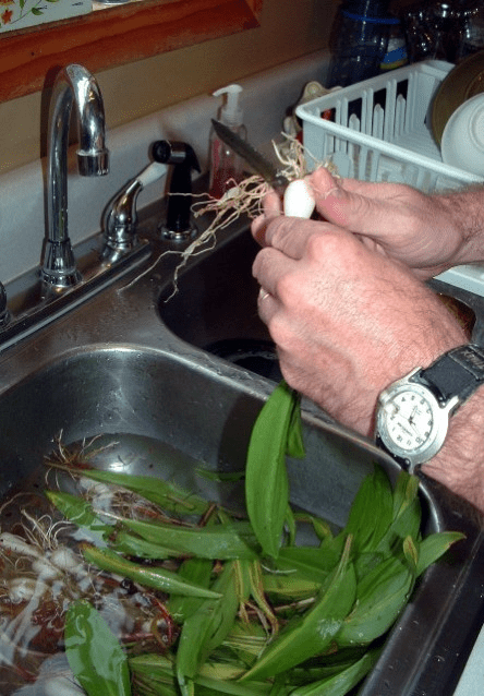 how to eat ramps