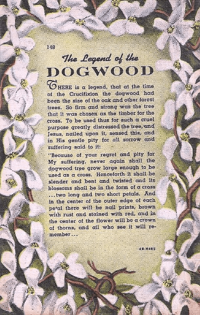 what does the dogwood tree symbolize