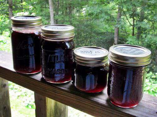 homemade blackberry jelly
