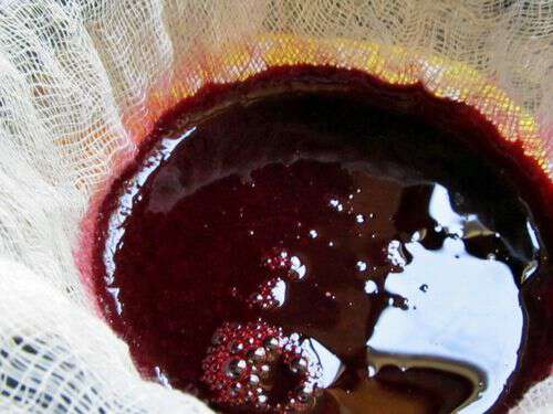 how to extract blackberry juice
