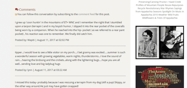 What Happened to the Comments