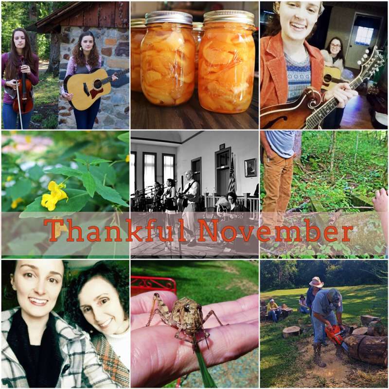 thankful november at Blind Pig and The Acorn