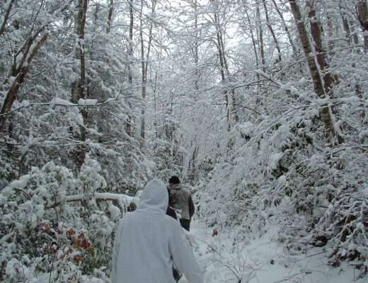 hiking in the snow