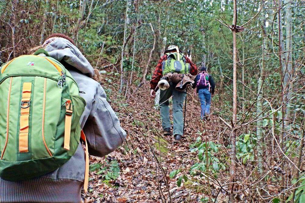 hiking-to-the-chestnut-tree