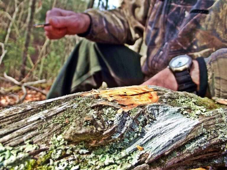Appalachia Through My Eyes – Rich Pine
