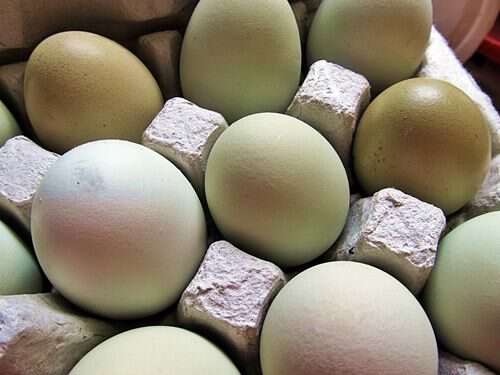 old-fashioned-way-of-dying-eggs