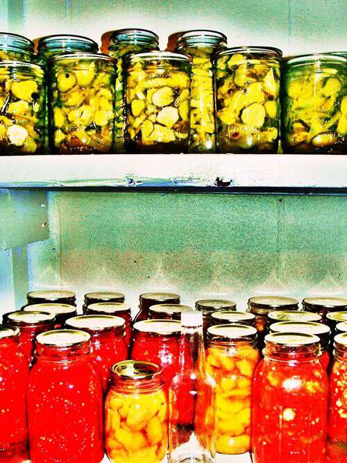 canned food