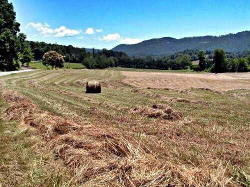 hay-cutting-time