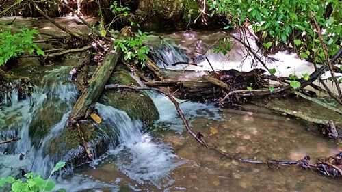 rainiest month on record