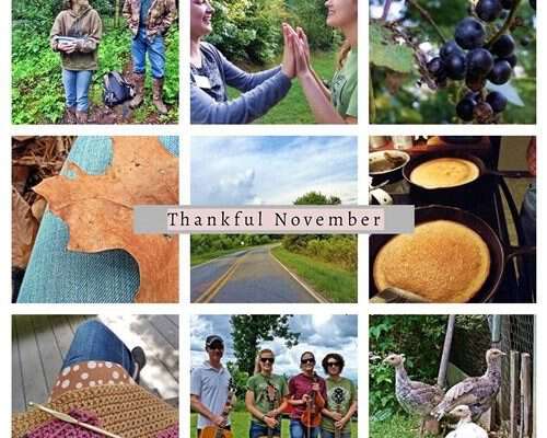 Thankful-November 2018