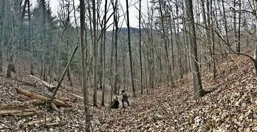 gathering-greenery-for-Christmas-in-Appalachia